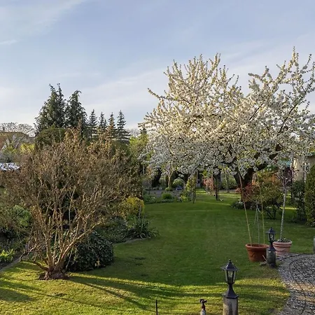Hafenhaus Leuchtturm * Waren (Mueritz)