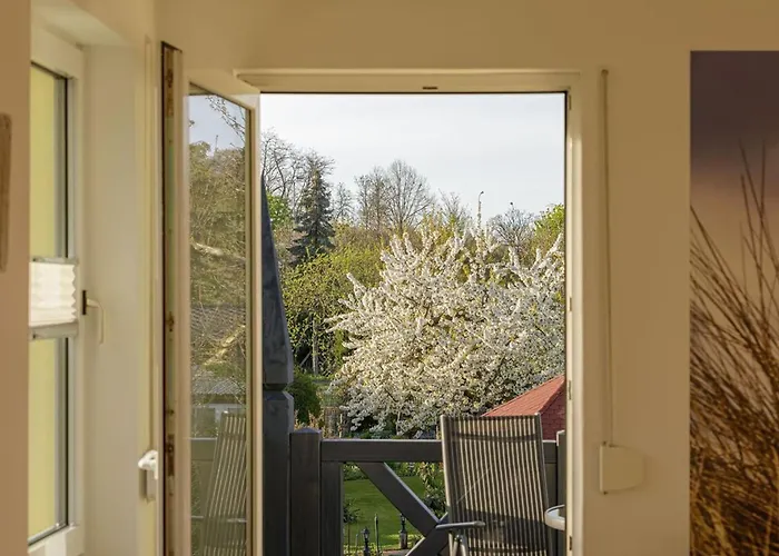 דירה Hafenhaus Leuchtturm וארן